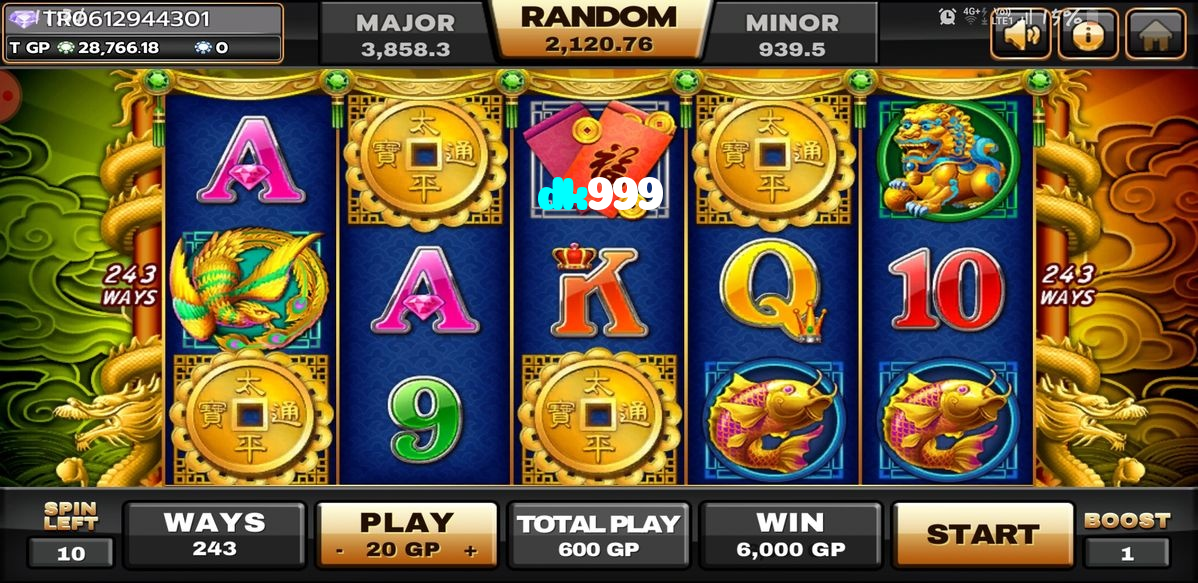 dk999